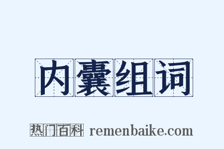 内囊组词是什么意思的图片